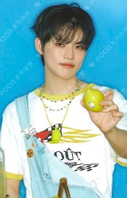 2026 SEASON'S GREETINGS RANDOM TRADING CARD SET A ver. CHENLE photocard image