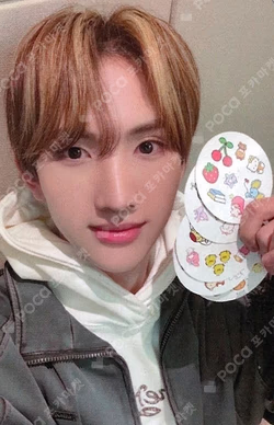 HOUSE OF TRICKY : WRECKING THE HOUSE NY MUSIC