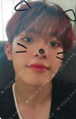 Liminality - EP.DREAM SOUND WAVE KANGMIN photocard image