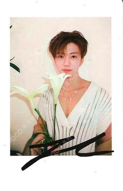 SPOTLiGHT JAEMIN photocard image