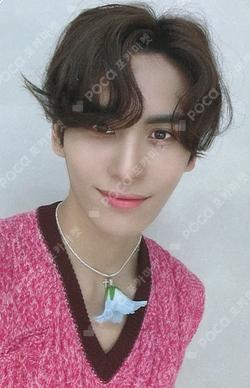 2023 SEASON’S GREETINGS - A DREAMY FANTASY FNC STORE YOO TAEYANG photocard image