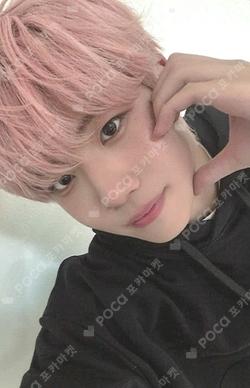 CLOSER TO MY ARCHIVE TRADING PHOTOCARD KENSHIN photocard image