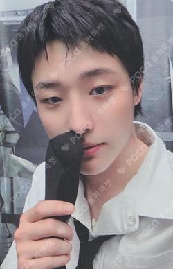 Archive. 1 Mubeat WOODZ photocard image