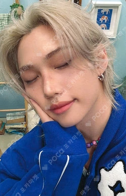 Stray Kids 6TH FANMEETING ‘STAY in Our Little House’ SKZOO PLUSH COLLECT CASE FELIX photocard image