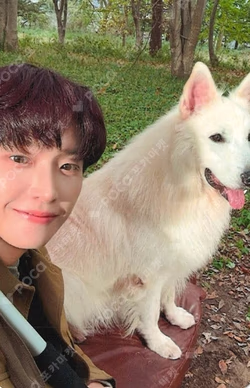 Crossfade: EVERLINE LUCKY DRAW INSEONG photocard image