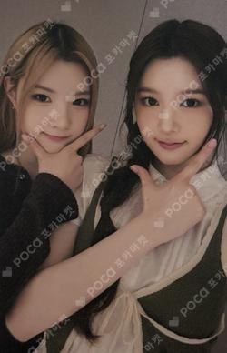 The Chase YIZHIYU Unit photocard image