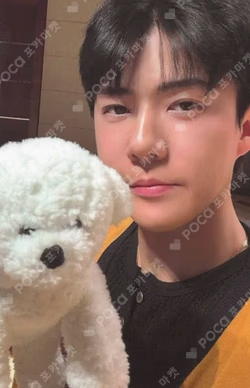 REVERXE SM STORE/Berriz Shop LUCKY DRAW SEHUN photocard image