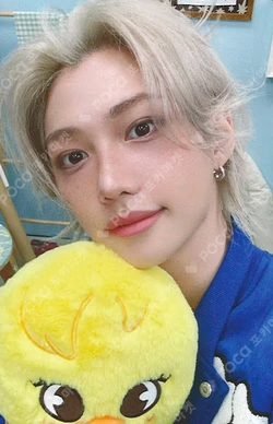 Stray Kids 6TH FANMEETING ‘STAY in Our Little House’ FELIX photocard image