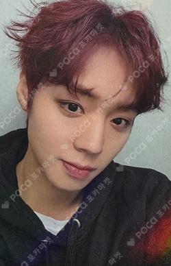 THE ANSWER JJMUZE PARK JI HOON photocard image