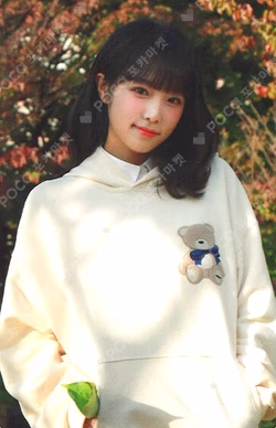 The world of my seventeen 2 yena kit