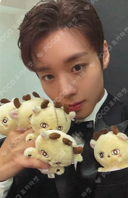PARK JIHOON FAN MEETING [OPENING] IN SEOUL PHOTO CARD & PORTRAIT PHOTO SET