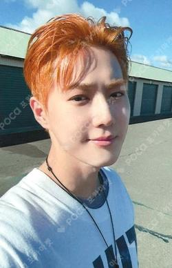 Who Are You QQ MUSIC SUHO photocard image