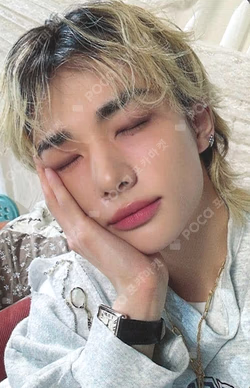 Stray Kids 6TH FANMEETING ‘STAY in Our Little House’ SKZOO PLUSH COLLECT CASE