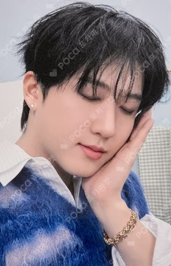 Stray Kids 6TH FANMEETING ‘STAY in Our Little House’ SKZOO PLUSH COLLECT CASE
