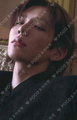 Fame TOWER RECORDS SHOTARO photocard image