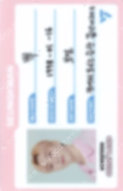 2023 SVT 7TH FAN MEETING SEVENTEEN in CARAT LAND ID Card Holder Set