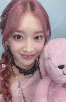 Teddy Bear WEVERSE