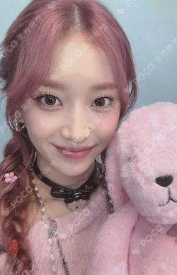 Teddy Bear WEVERSE Sumin photocard image