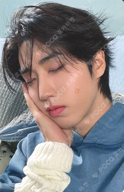 Stray Kids 6TH FANMEETING ‘STAY in Our Little House’ SKZOO PLUSH COLLECT CASE