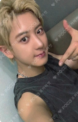 2024 CHANYEOL LIVE TOUR : 都市風景 (City-scape) in SEOUL Black Out EVERLINE LUCKY DRAW CHANYEOL photocard image