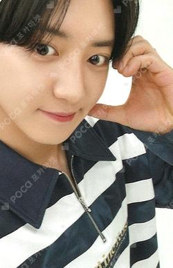 2024 CHANYEOL LIVE TOUR : 都市風景 (City-scape) in SEOUL POUCH SET CHANYEOL photocard image