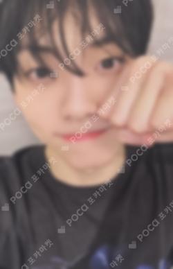 7TH YEAR: A Moment of Stillness in the Thorns THORN Ver. OLIVE YOUNG SOOBIN photocard image