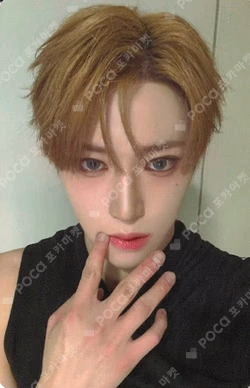 EUPHORIA StarRiver ARNO photocard image