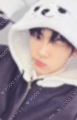 7TH YEAR: A Moment of Stillness in the Thorns PPULBATU Ver. Weverse Albums ver. SOOBIN photocard image