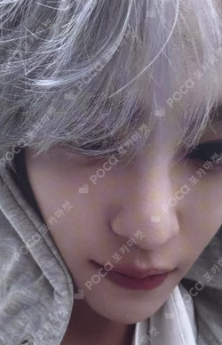 2026 SEASON'S GREETINGS RANDOM TRADING CARD SET B ver. YANGYANG photocard image