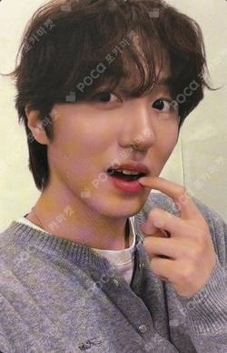 About Love EVERLINE CHA NI photocard image