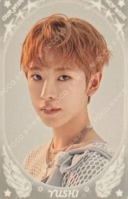 NCT YUSHI photocard image