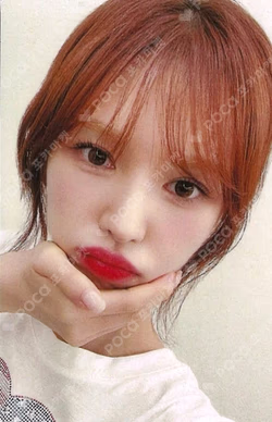 2025 WENDY 1st WORLD TOUR [W:EALIVE] IN TOKYO FANCLUB BOOTH