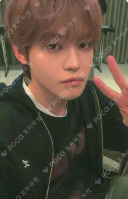 Go Back To The Future FANME CHENLE photocard image