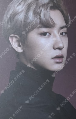 Artist&FLO CHANYEOL photocard image