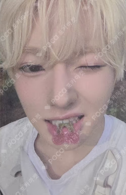 Ode to Love Big SMini Ver. SAKUYA photocard image