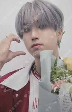 Stray Kids HAN photocard image