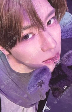 Ode to Love WICHU Ver. Anteros Ver. SION photocard image