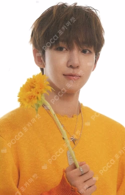 TELECA COLLECTION CARD 2025 K-POP ROOKIE PROMOTIONAL CARD