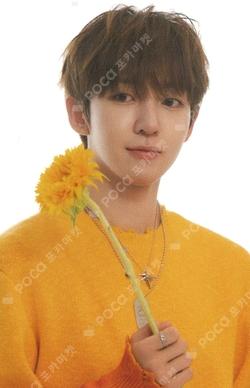 TELECA COLLECTION CARD 2025 K-POP ROOKIE PROMOTIONAL CARD Donghyeon photocard image
