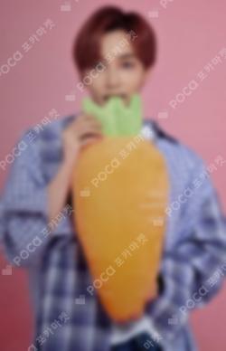 2018 SEVENTEEN CONCERT IDEAL CUT IN JAPAN TRADING CARD