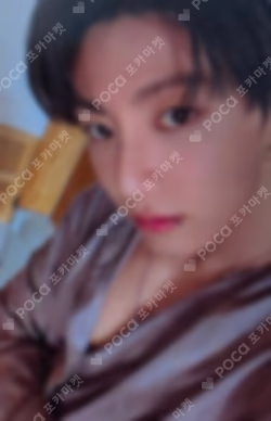 BTS WORLD TOUR 'ARIRANG' IN TAMPA Weverse Pickup (ALBUM)
