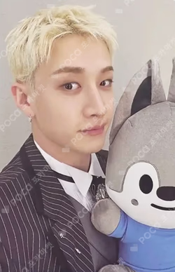 SKZOO EVERYWHERE ALL AROUND THE WORLD in SEOUL POP-UP STORE REWARD BANG CHAN photocard image