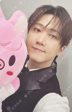 Pocamarket, Stray Kids CHANGBIN SKZOO EVERYWHERE ALL AROUND THE