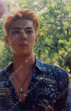 THE WAR Private Ver. SEHUN photocard image