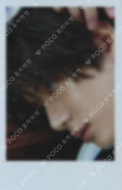 7TH YEAR: A Moment of Stillness in the Thorns ALADIN BEOMGYU photocard image