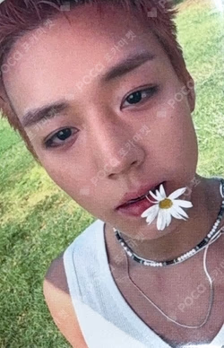 RE:FLECT POP-UP STORE REWARD PARK JI HOON photocard image
