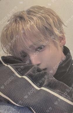DAYDREAM DEAR MY MUSE