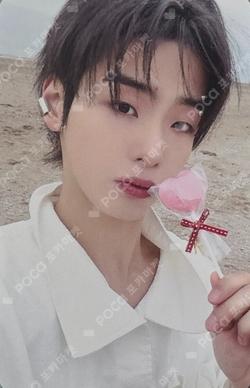 FEELM EVERLINE Kim Do Gyun photocard image