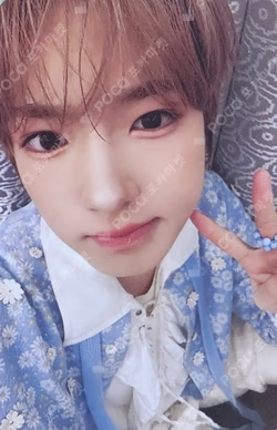 NCT SAKUYA photocard image