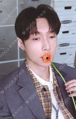 2026 SEASON'S GREETINGS RANDOM TRADING CARD SET A ver. LAY photocard image